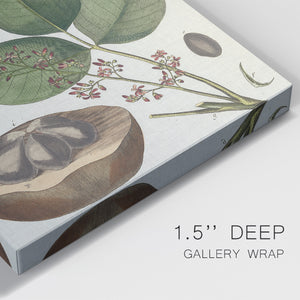 Exotic Botanique III - Canvas Art Print