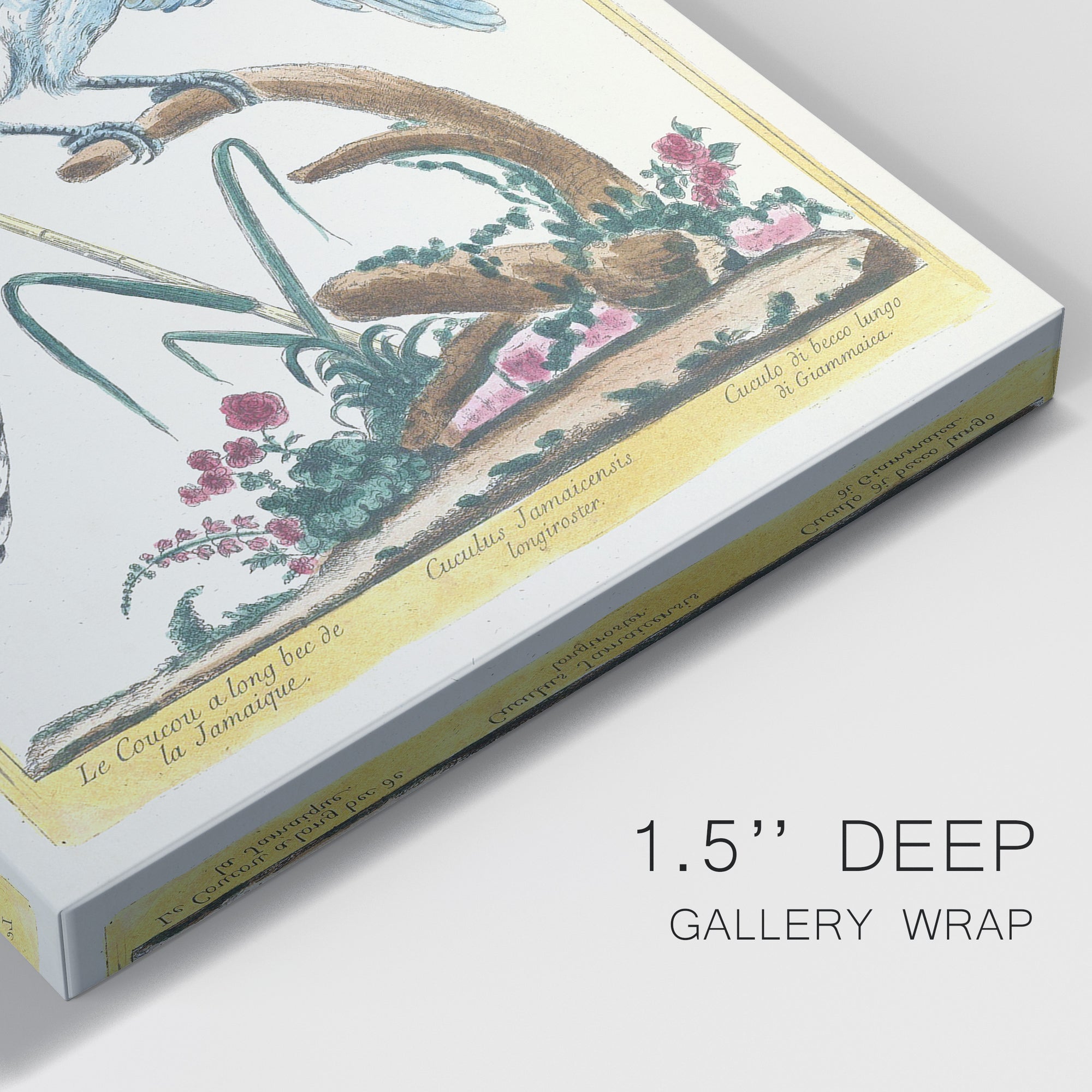 Pastel Birds V Premium Gallery Wrapped Canvas - Ready to Hang