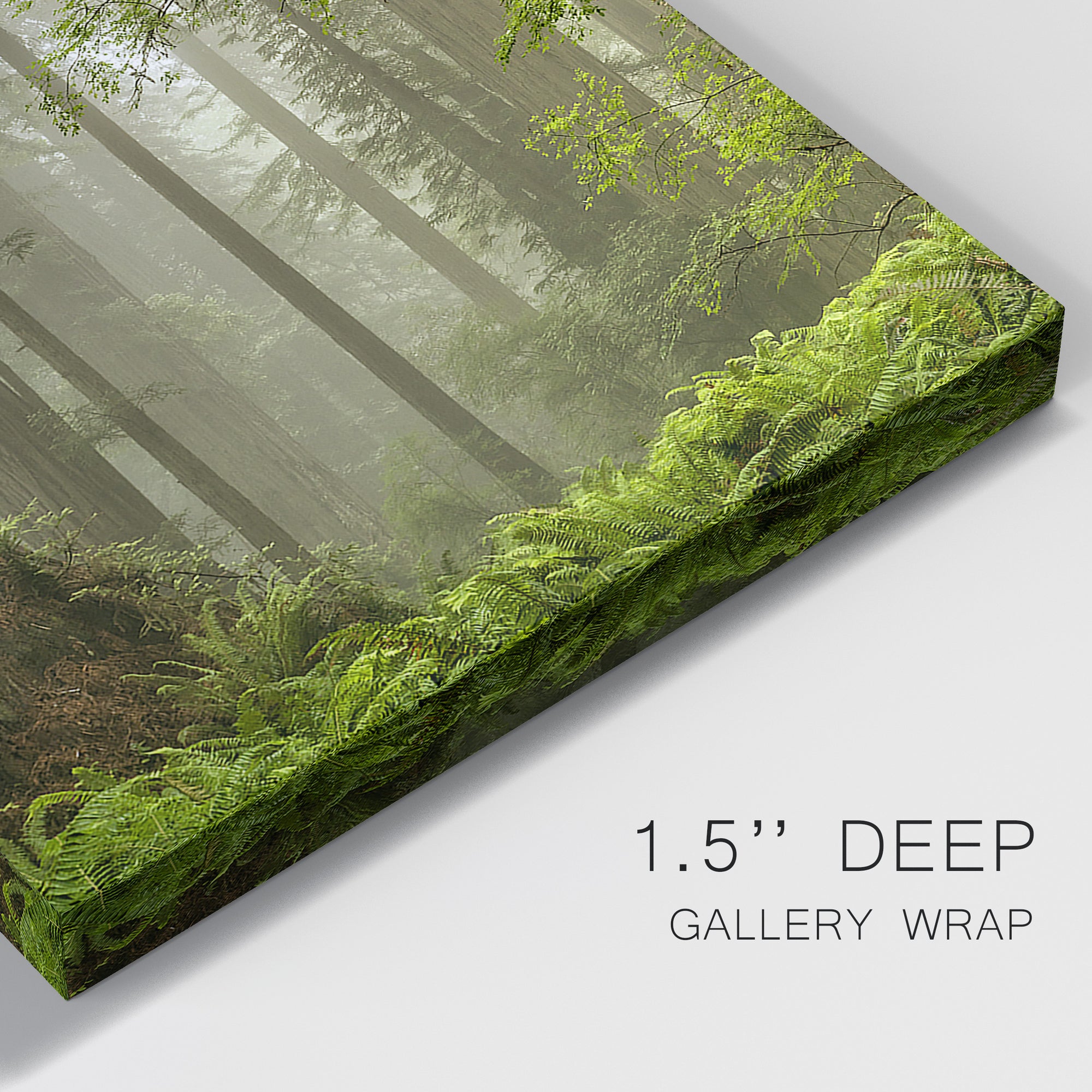Summer Forest II Premium Gallery Wrapped Canvas - Ready to Hang