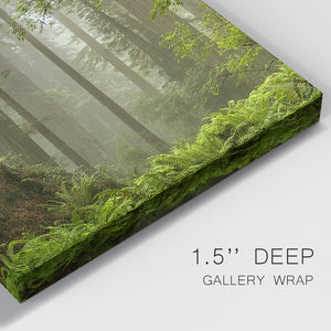 Summer Forest II Premium Gallery Wrapped Canvas - Ready to Hang