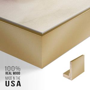 Continuum I - Framed Premium Gallery Wrapped Canvas L Frame - Ready to Hang