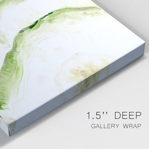 Lichen Halo II Premium Gallery Wrapped Canvas - Ready to Hang
