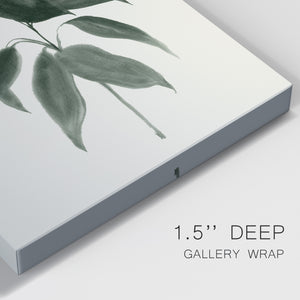 Soft Greenery II - Canvas Art Print