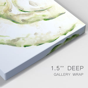 Lichen Halo V - Canvas Art Print