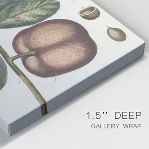 Exotic Botanique IV - Canvas Art Print