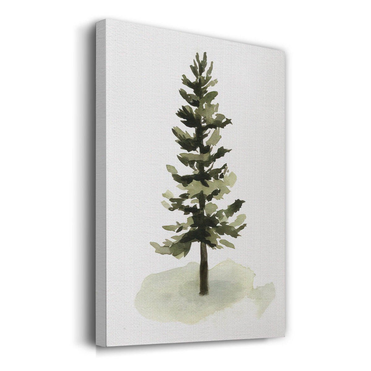 Watercolor Pine II - Gallery Wrapped Canvas