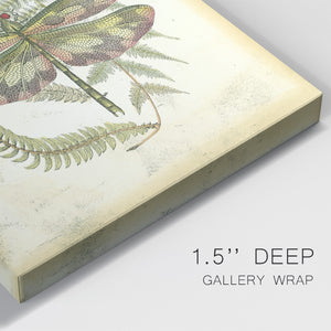 Regal Dragonfly IV (PP)  - Canvas Art Print