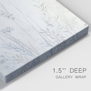 Neutral Queen Anne's Lace II Premium Gallery Wrapped Canvas - Ready to Hang