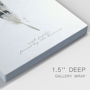 Found Feather I - Canvas Art Print