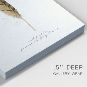 Found Feather III - Canvas Art Print