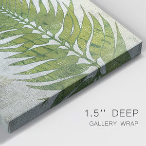 Frond II Premium Gallery Wrapped Canvas - Ready to Hang