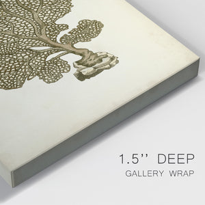Sealife Collection VIII - Canvas Art Print