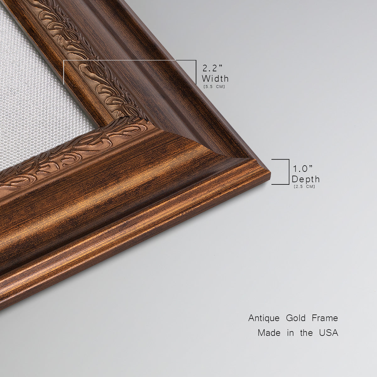Amaryllis Splendor II Premium Framed Canvas- Ready to Hang