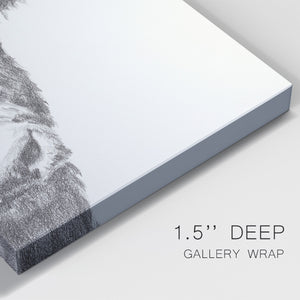 Graphite Bison Portrait II - Canvas Art Print