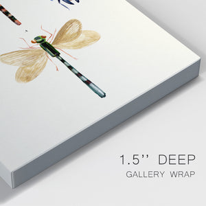Insect Varieties I - Canvas Art Print