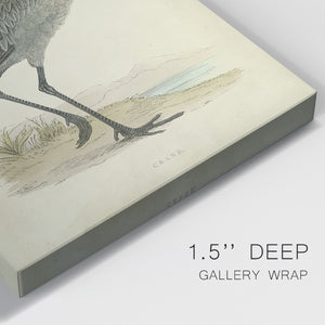 Morris Crane I - Canvas Art Print