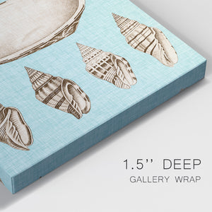 Sepia & Aqua Shells III Premium Gallery Wrapped Canvas - Ready to Hang