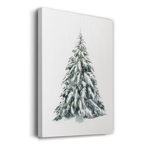 Blue Spruce I - Gallery Wrapped Canvas