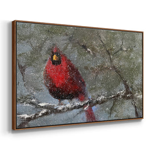 Cardinal in Snow I - Framed Gallery Wrapped Canvas in Floating Frame