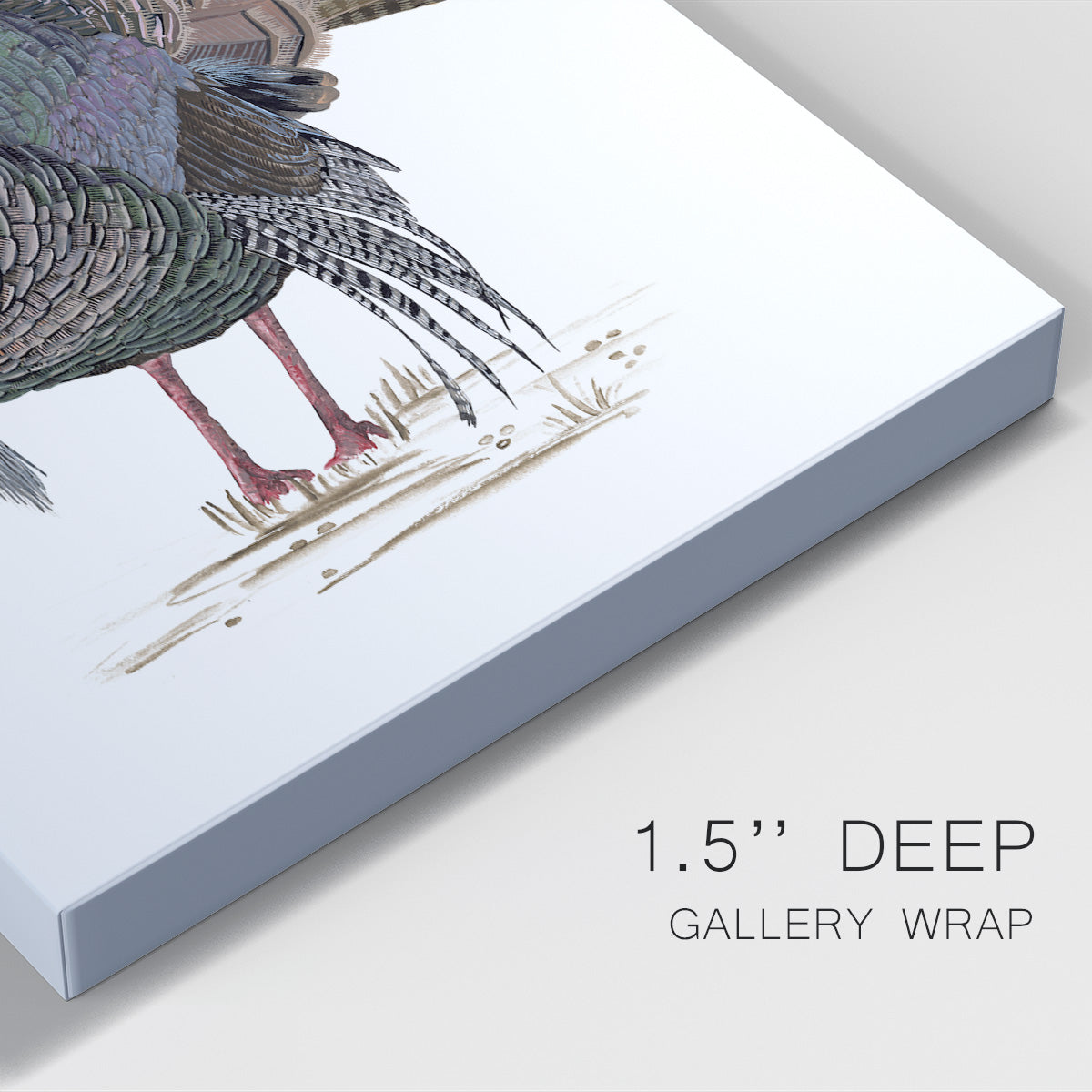 Turkey Study II Premium Gallery Wrapped Canvas - Ready to Hang