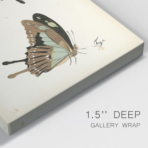 Butterfly Profile III - Canvas Art Print