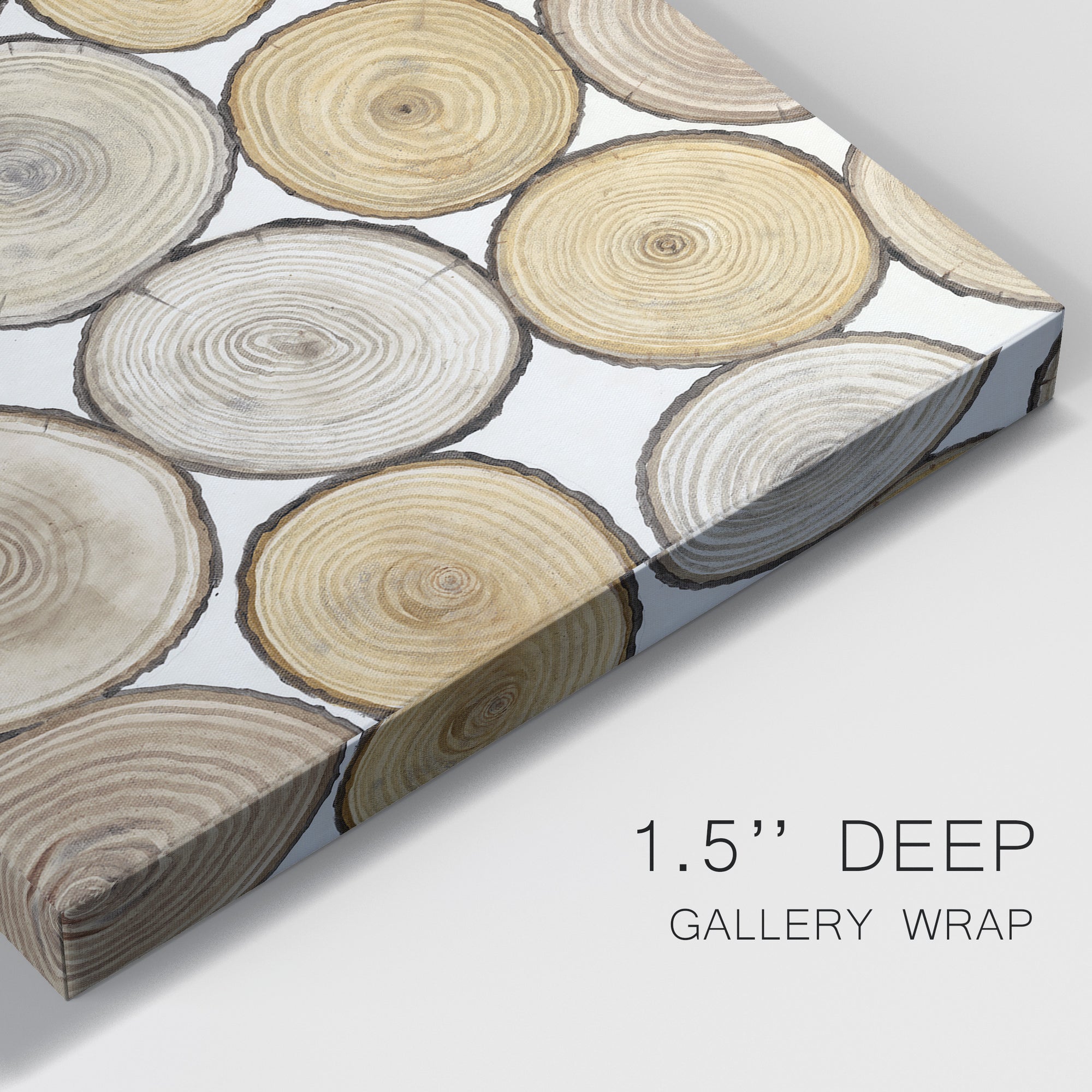 Tree Ring Study I Premium Gallery Wrapped Canvas - Ready to Hang