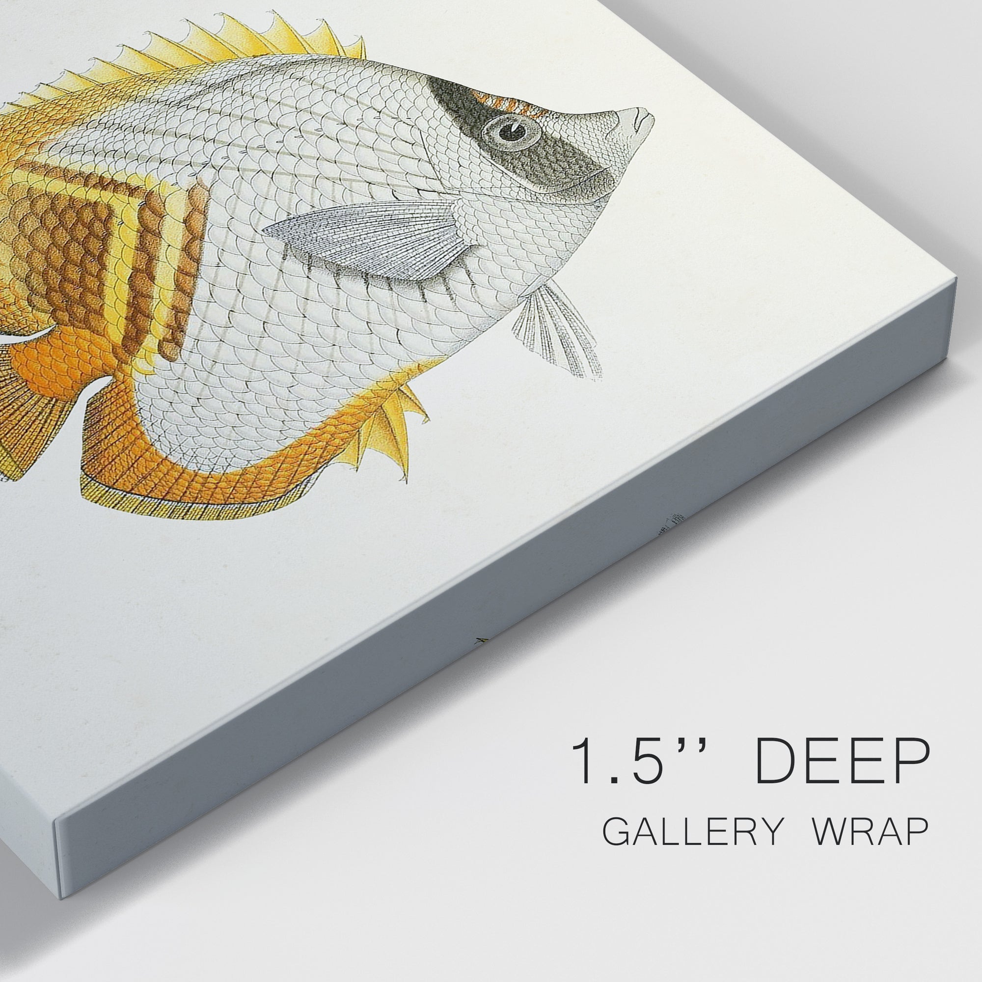 Yellow & Grey Fish I Premium Gallery Wrapped Canvas - Ready to Hang