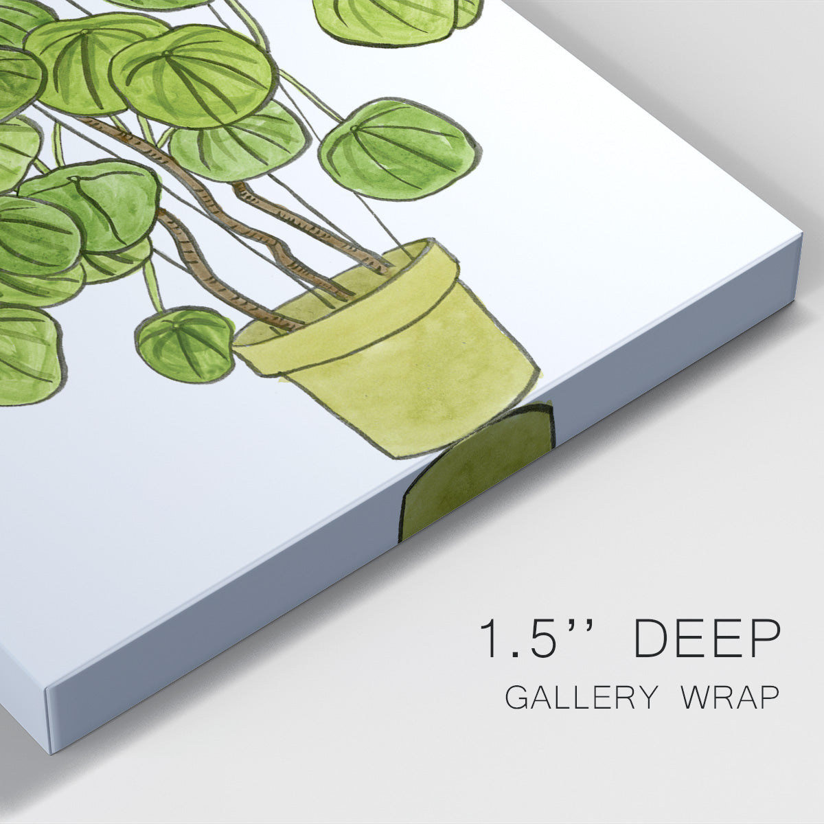 Potted Jungle II Premium Gallery Wrapped Canvas - Ready to Hang