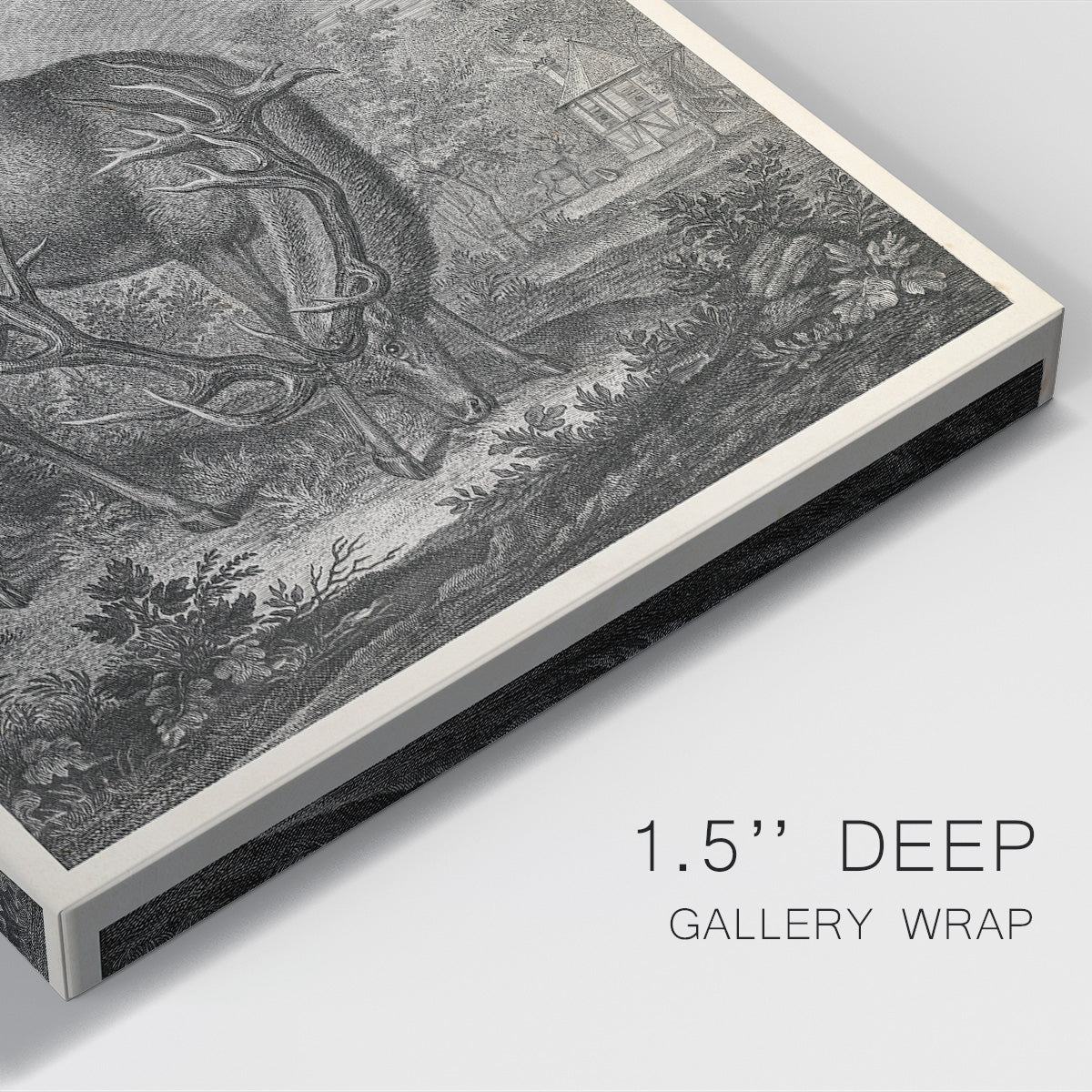 Woodland Deer IV Premium Gallery Wrapped Canvas - Ready to Hang
