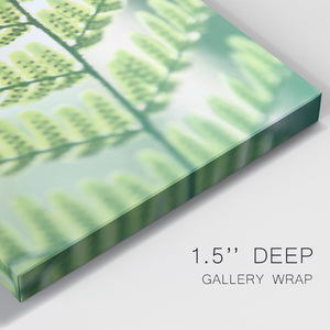UA Fern Glow I Premium Gallery Wrapped Canvas - Ready to Hang