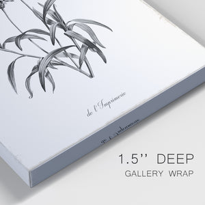 Simply Imperial Premium Gallery Wrapped Canvas - Ready to Hang - Set of 2 - 8 x 12 Each