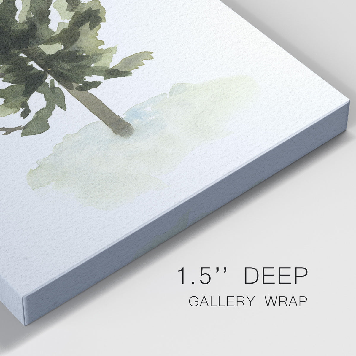 Watercolor Pine I Premium Gallery Wrapped Canvas - Ready to Hang