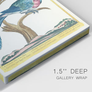 Pastel Birds VI Premium Gallery Wrapped Canvas - Ready to Hang