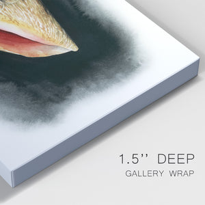 Conch on Black I - Canvas Art Print