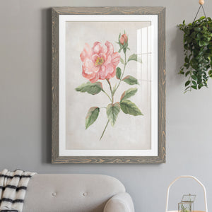 Grandiflora II - Barnwood Framed Art Print
