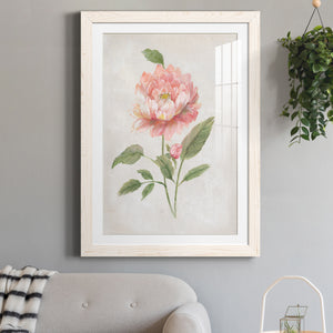 Grandiflora III - Barnwood Framed Art Print