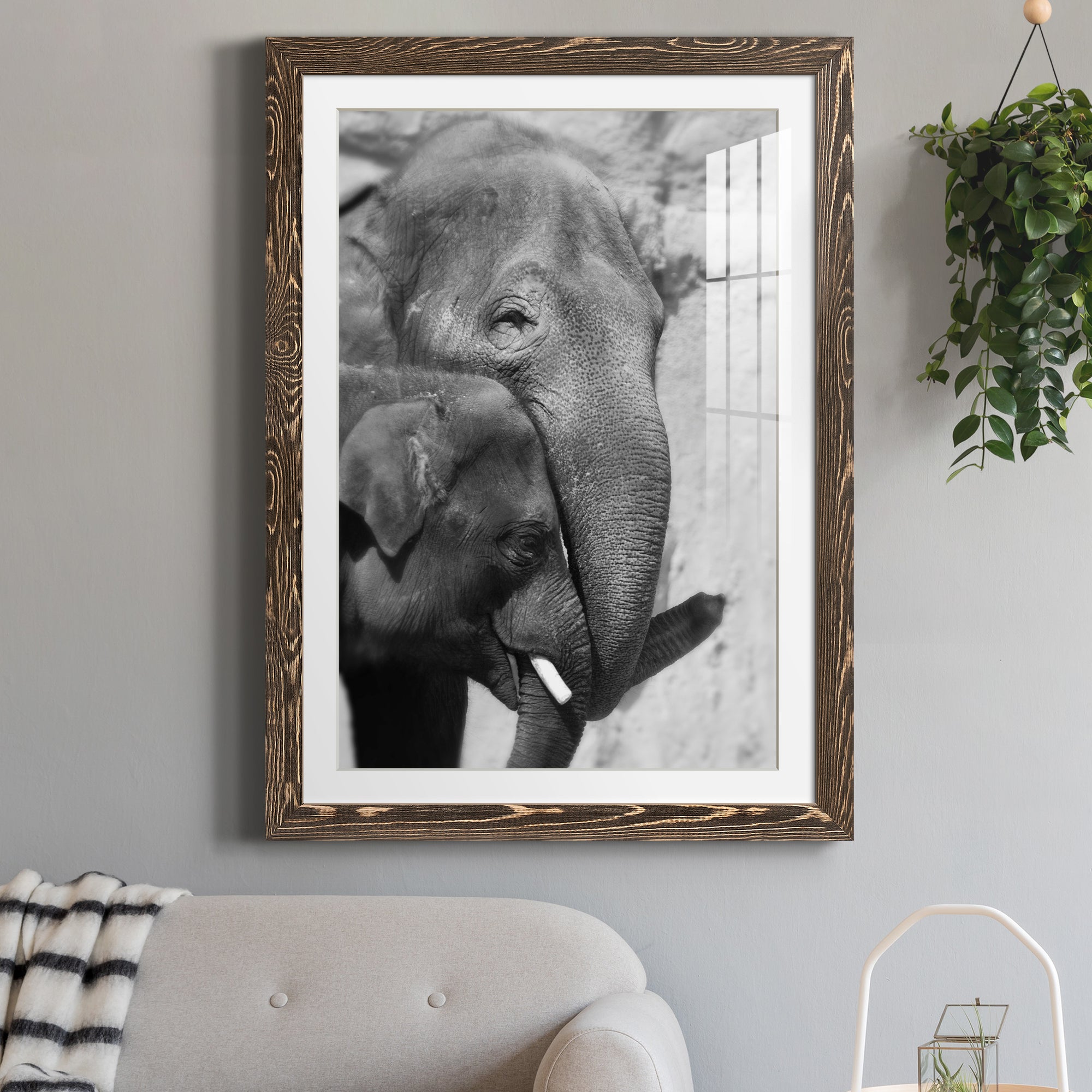 Tender Moment - Barnwood Framed Art Print