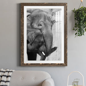 Tender Moment - Barnwood Framed Art Print