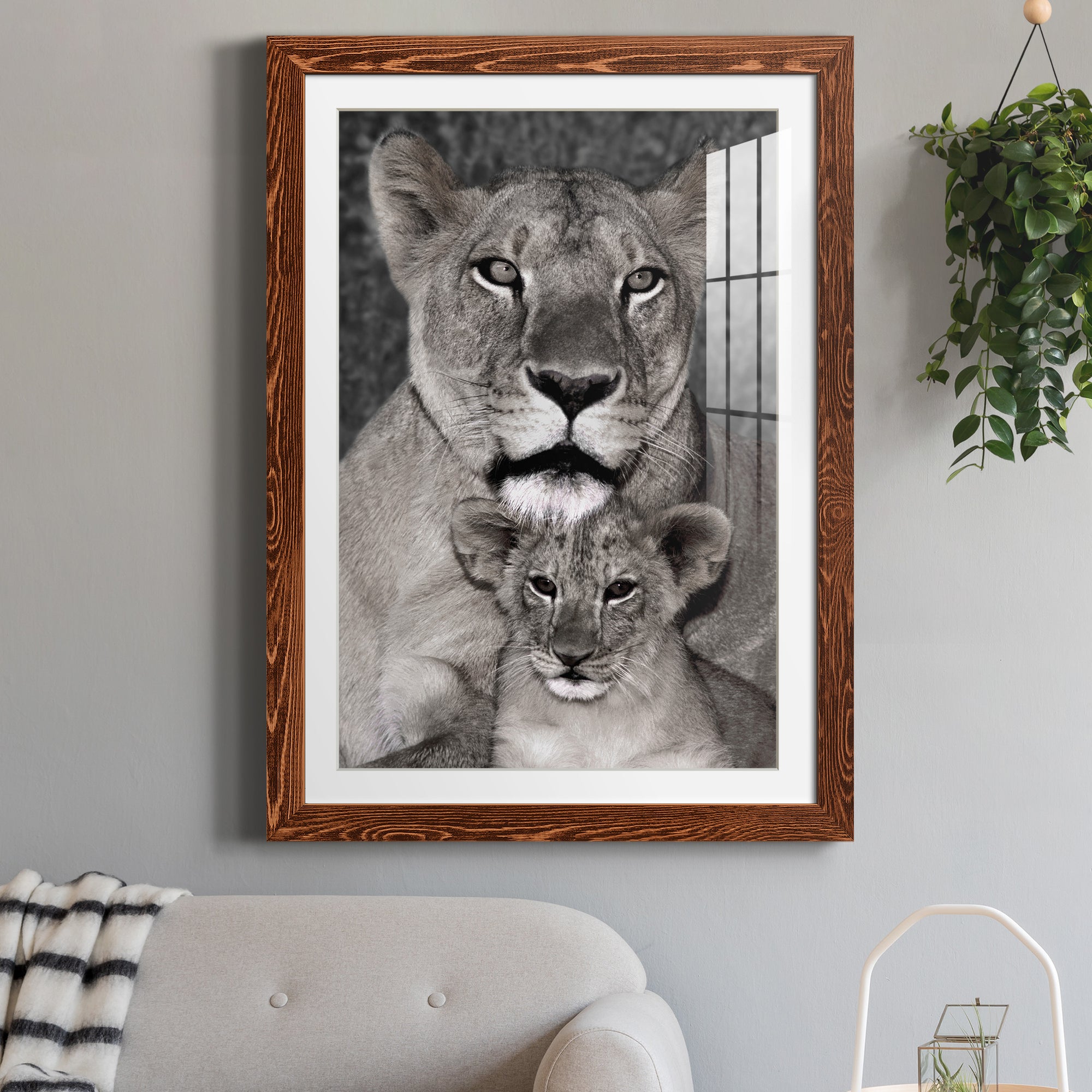 Lioness and Cub - Barnwood Framed Art Print