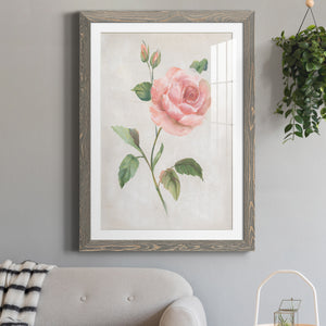 Grandiflora I - Barnwood Framed Art Print