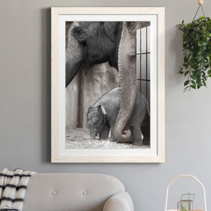 Family Moment - Barnwood Framed Art Print