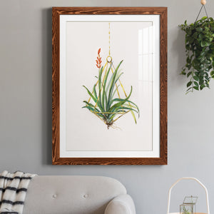 Gardenaire I - Barnwood Framed Art Print
