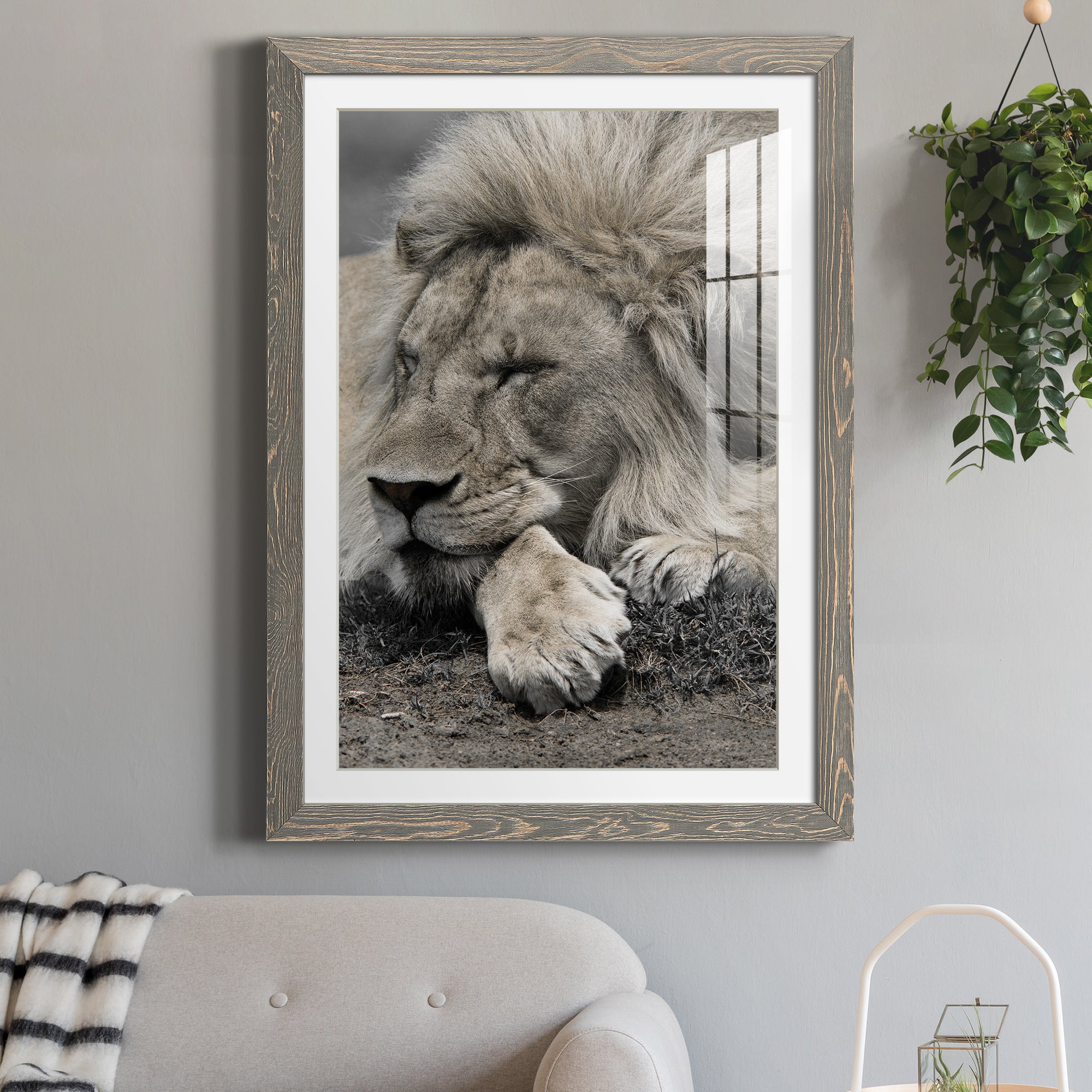 Sleepy Afternoon in Masai Mara - Barnwood Framed Art Print