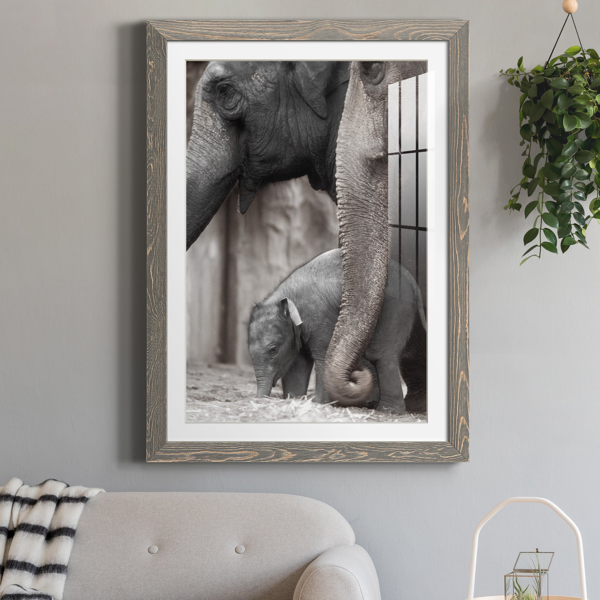Family Moment - Barnwood Framed Art Print