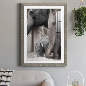 Family Moment - Barnwood Framed Art Print