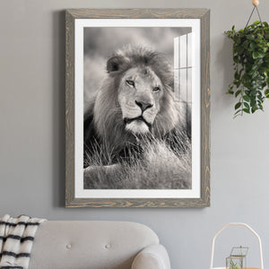 Pride of the Pride - Barnwood Framed Art Print