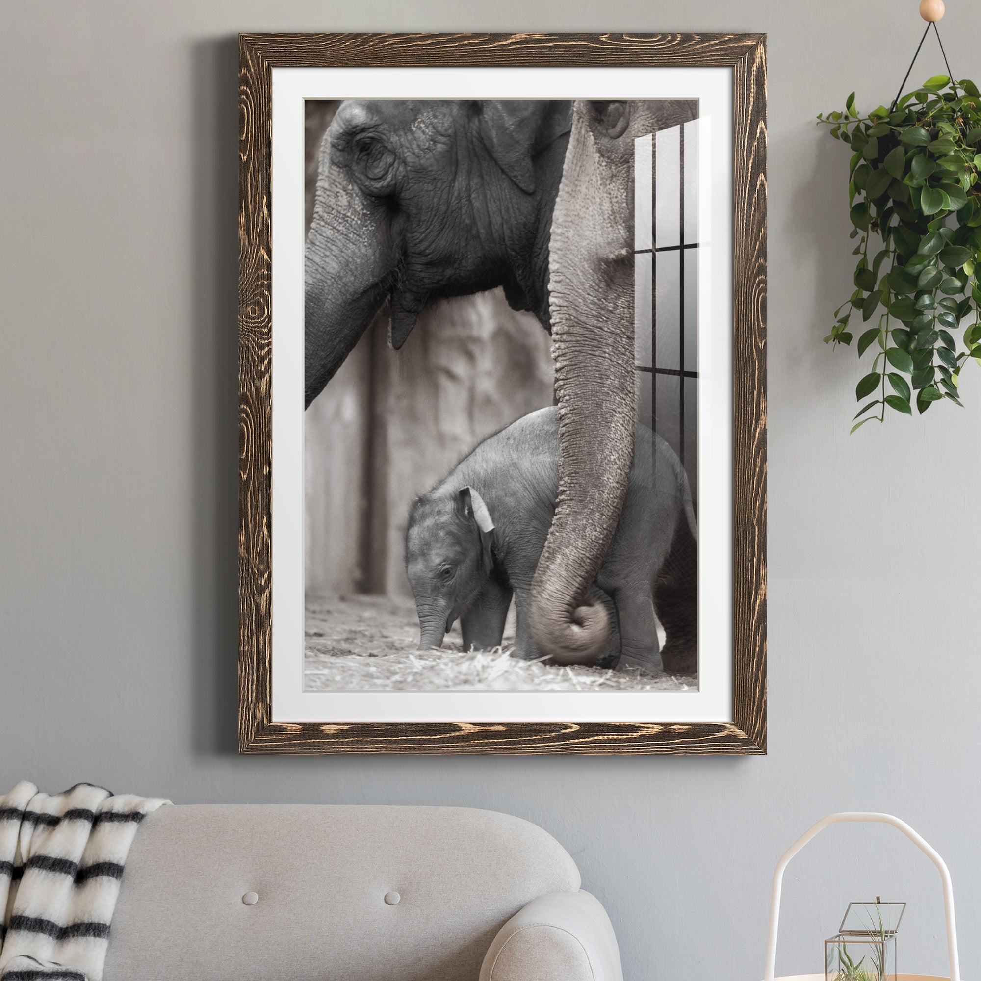 Family Moment - Barnwood Framed Art Print
