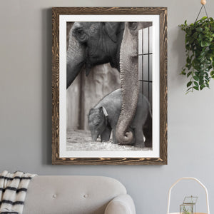 Family Moment - Barnwood Framed Art Print
