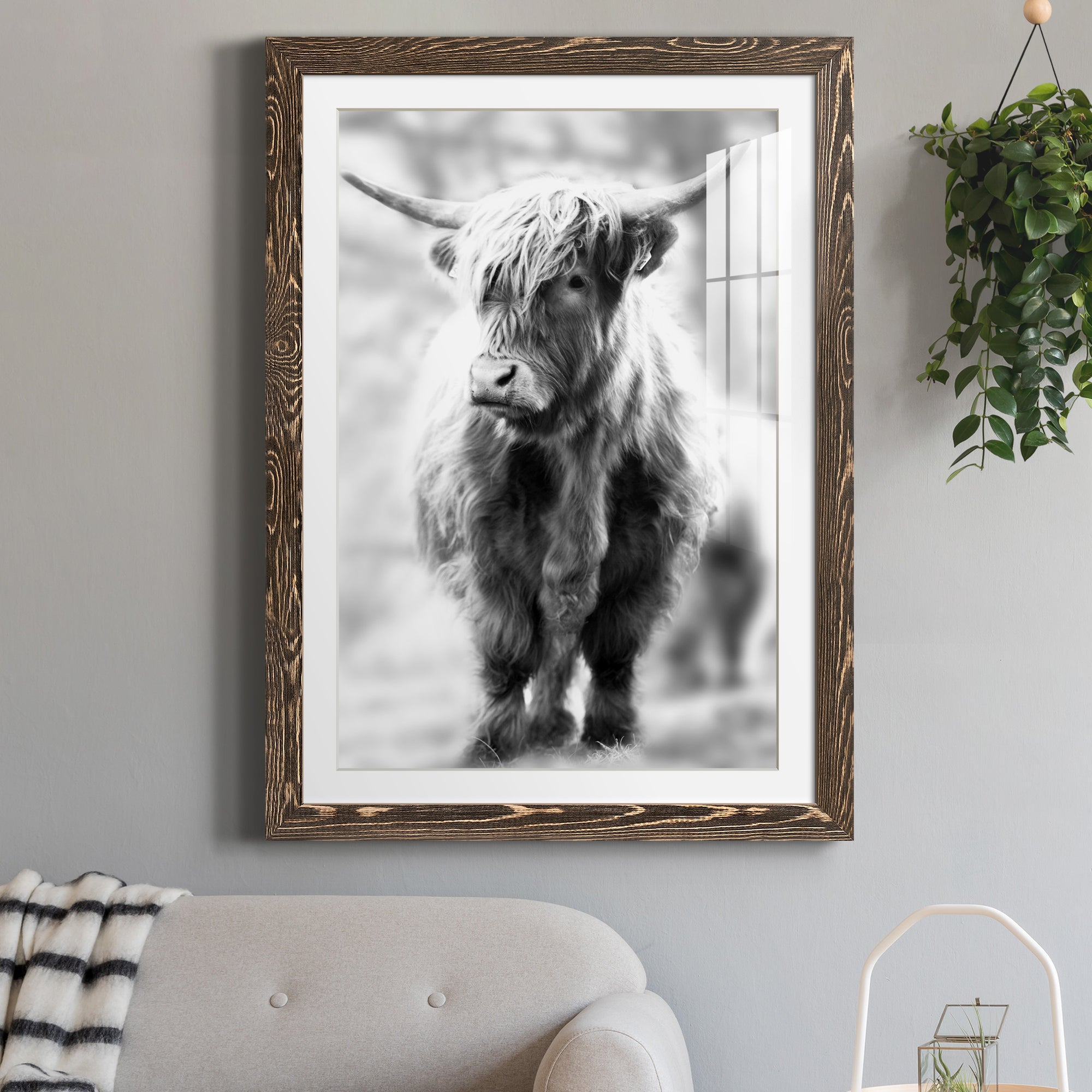 Yorkshire Highland - Premium Framed Print - Distressed Barnwood Frame - Ready to Hang