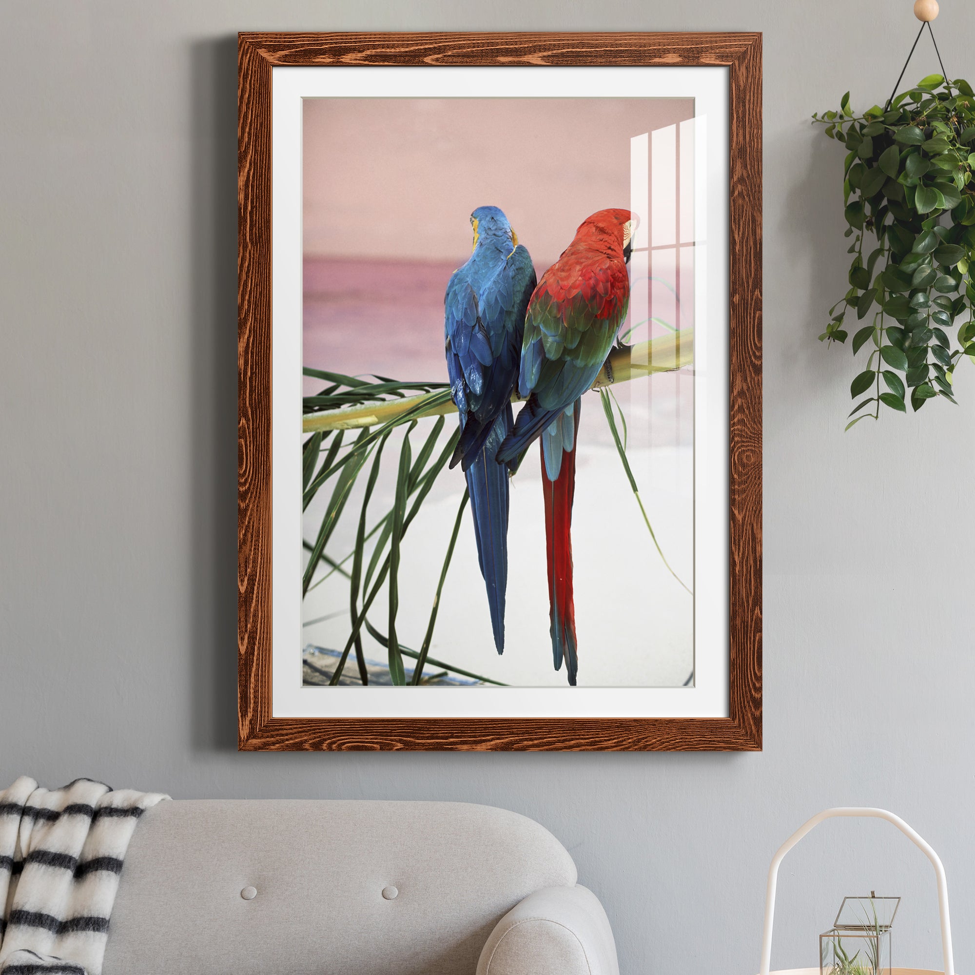 Palm Parrots - Barnwood